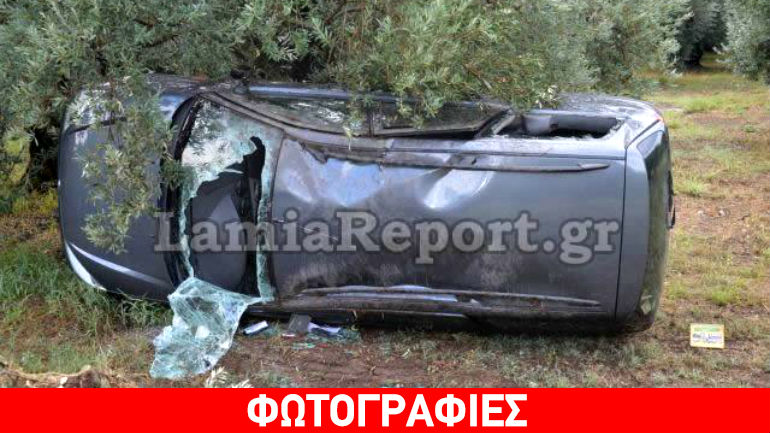 Στυλίδα: Προσπάθησε να αποφύγει τα σκυλιά και κατέληξε σε ελαιώνα