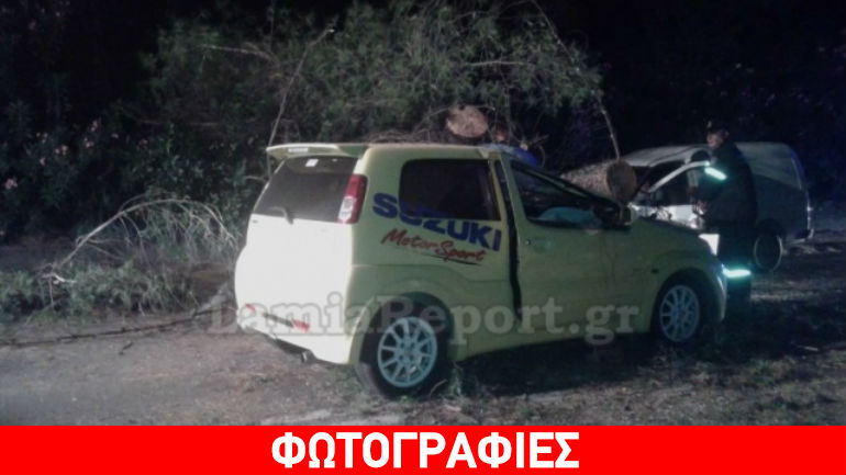 Φθιώτιδα: Δέντρο καταπλάκωσε τρία αυτοκίνητα – Ένας σοβαρά τραυματίας
