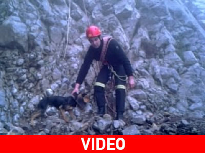 Κατέβηκαν σε επικίνδυνη χαράδρα για να σώσουν σκυλάκι Κατέβηκαν σε επικίνδυνη χαράδρα για να σώσουν σκυλάκι