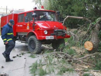 Ιωάννινα: Πτώση δέντρου έκλεισε τον δρόμο