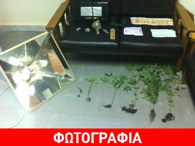 Συνελήφθη… «επιστήμονας» χασισοκαλλιεργητής