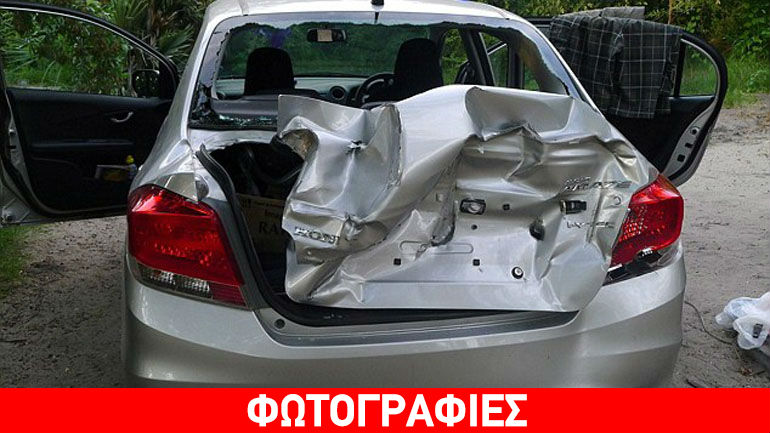 Προσοχή… ελέφαντες!