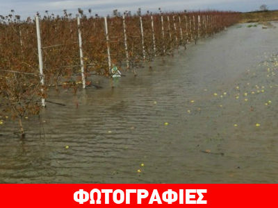 «Ποτάμι» αδιαφορίας στον Άραχο