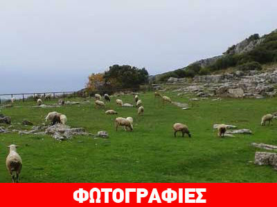 Βοσκότοπος η πρωτεύουσα της Αρχαίας Πρέβεζας