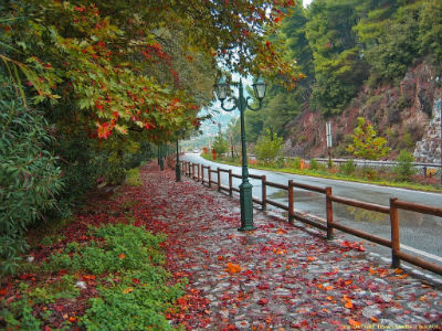 Ξάνθη: Ο ηλικιωμένος «το έριξε» στην πεζοπορία