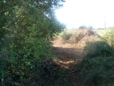 Πρόχειρες κι ανεξέλεγκτες οι ταφές νεκρών ζώων