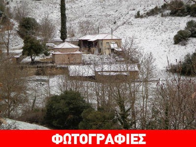 Καλάβρυτα: Εντυπωσιακές εικόνες από το χιονισμένο Μάνεσι