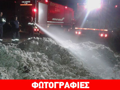 Λαμία: Λαμπάδιασε το βαμβάκι