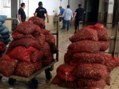 Αλεξανδρούπολη: Κατασέθηκαν δύο τόνοι ακατάλληλων οστράκων