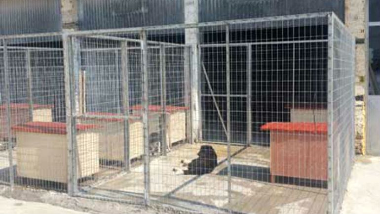 Καταφύγιο Αδέσποτων Ζώων στην Άρτα