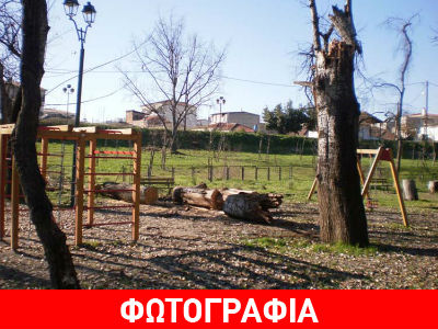 Λάρισα: Δένδρο έπεσε σε παιδική χαρά
