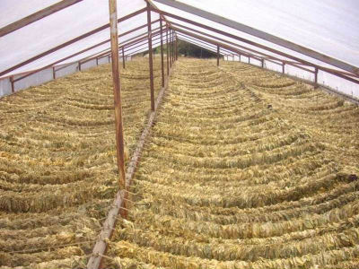 Συνέλαβαν πρώην δήμαρχο με 700 κιλά λαθραίου καπνού