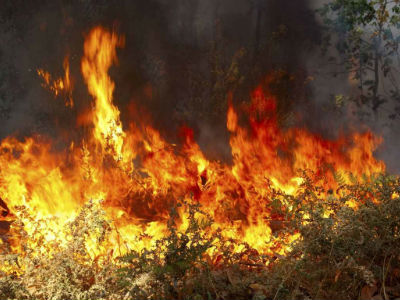 Φωτιά στα Καμένα Βούρλα