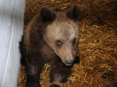 Διέφυγε τον κίνδυνο για τη ζωή του ο μικρός Γιώργος