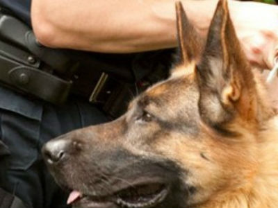 Ναρκωτικά για όλα τα γούστα στο πλοίο της γραμμής