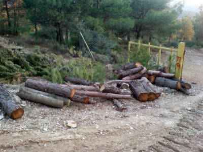 Πατέρας και γιος έστειλαν δασοφύλακα στο νοσοκομείο