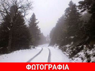 Στα λευκά η Πάρνηθα Στα λευκά η Πάρνηθα