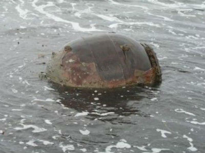 Κεφαλλονιά: Βρέθηκαν οβίδες του Β’ Παγκοσμίου Πολέμου στο λιμάνι