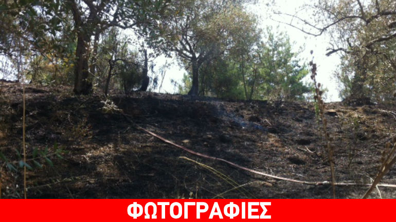 Αγρίνιο: Μεγάλη κινητοποίηση της Πυροσβεστικής για φωτιά σε δασύλλιο