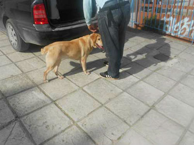 Φάρσα για βόμβα σε σχολείο των Ιωαννίνων