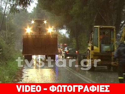 Παρολίγον τραγωδία από πτώση πεύκου