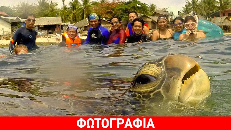Η selfie μιας θαλάσσιας χελώνας