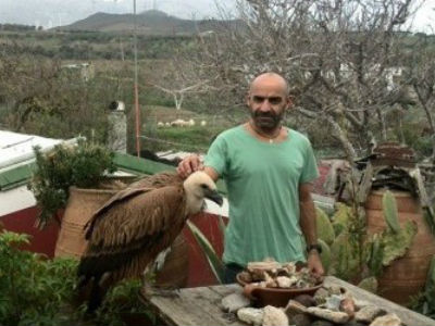 Αίσιο τέλος στην περιπέτεια περήφανου όρνεου