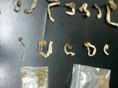 Δράμα: Τα μανιτάρια οδήγησαν στη σύλληψη