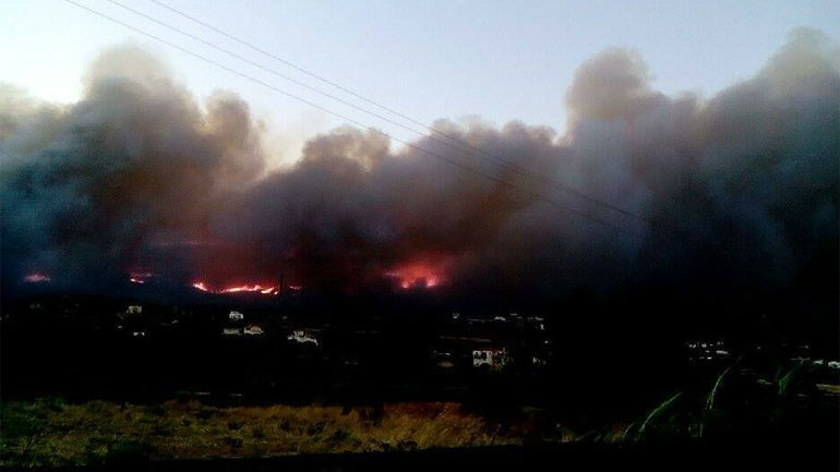 Λακωνία: Μέτρα για την ανακούφιση των πυρόπληκτων