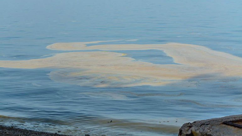 Πάτρα: Έρευνα για την κίτρινη ουσία στον Πατραϊκό κόλπο