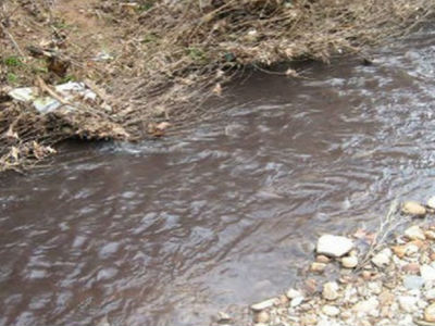 Ιεράπετρα: Τα απόβλητα του ελαιουργείου κατέληξαν στην θάλασσα