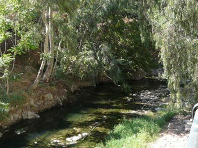 Πτώμα σε σήψη εντοπίστηκε στην Ερυθραία