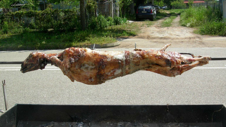 Τρίκαλα: Οι κλέφτες… μερίμνησαν για τον οβελία