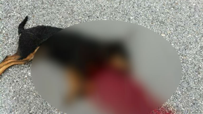 Λέσβος: Δύο χρόνια φυλάκιση και πρόστιμο στον εκτελεστή της «Λίζας»