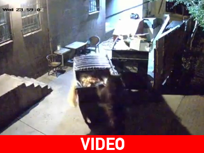 Απίστευτη επιτυχία η μείωση του ΦΠΑ στην εστίαση