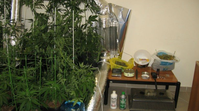 Ηράκλειο: Γιατρός… επιστήμονας στην καλλιέργεια χασίς