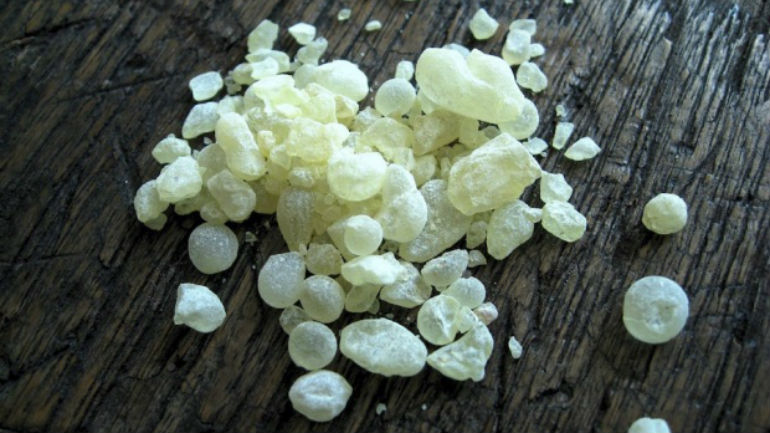 Διεθνής διάκριση για τη μαστίχα Χίου: Αναγνωρίστηκε ως φυσικό φάρμακο