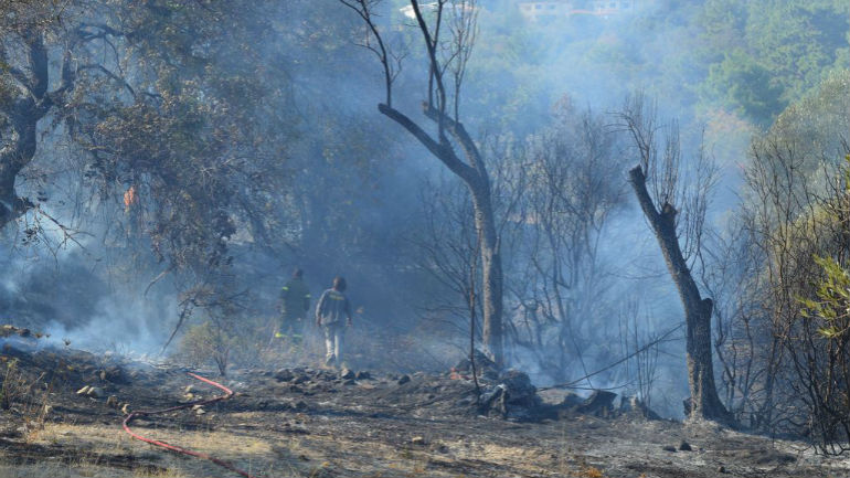 Χίος: Πυρκαγιά σε δύσβατη περιοχή