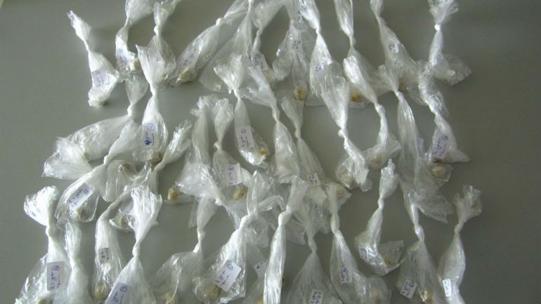 Καλαμάτα: 21 συλλήψεις για 90.000 δόσεις ηρωίνης