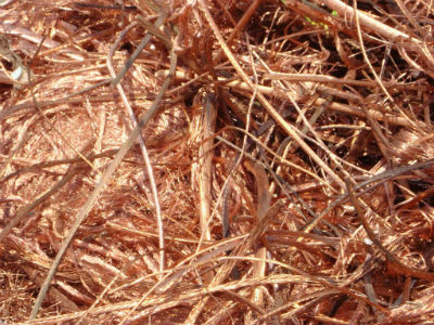 Μαζί στη ζωή, μαζί και… στο κρατητήριο