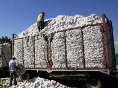 Φορτίο 12 τόνων «έφυγε» από νταλίκα