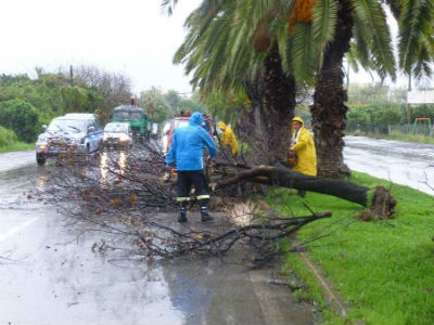 Καλαμάτα: Έκλεισε ο δρόμος από πτώση δέντρου