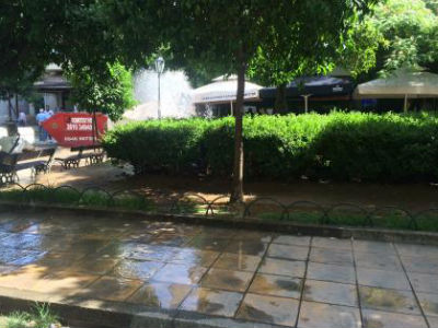 Πάτρα: Άνεργος εγκατέλειψε σκυλάκι επειδή αδυνατούσε να το συντηρήσει