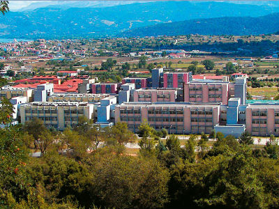 Τι έκαναν οι Κινέζοι στα Γιάννινα;