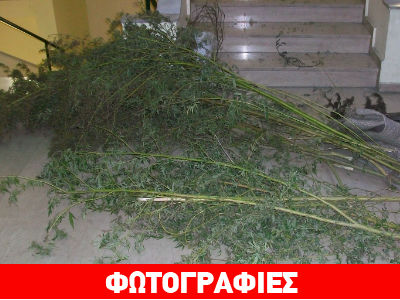 Χειροπέδες σε τέσσερις με… πλούσια δράση