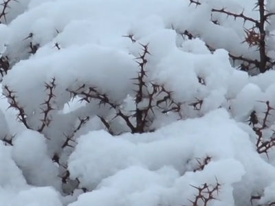 Τέλος καλό, όλα καλά για τους εγκλωβισμένους στον χιονισμένο Ψηλορείτη