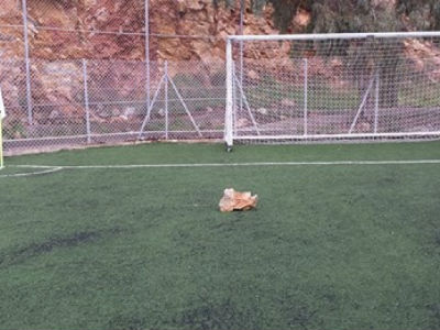 Σύρος: Βρόχος «προσγειώθηκε» μέσα σε γήπεδο
