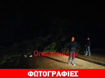 Ναύπακτος: Κλειστή η Εθνική Οδός από πτώση δέντρων