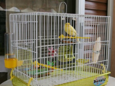 Ξάνθη: Διαρρήκτης με… περίεργες προτιμήσεις