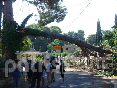 Ηλεία: Τα αντανακλαστικά του οδηγού απέτρεψαν την τραγωδία